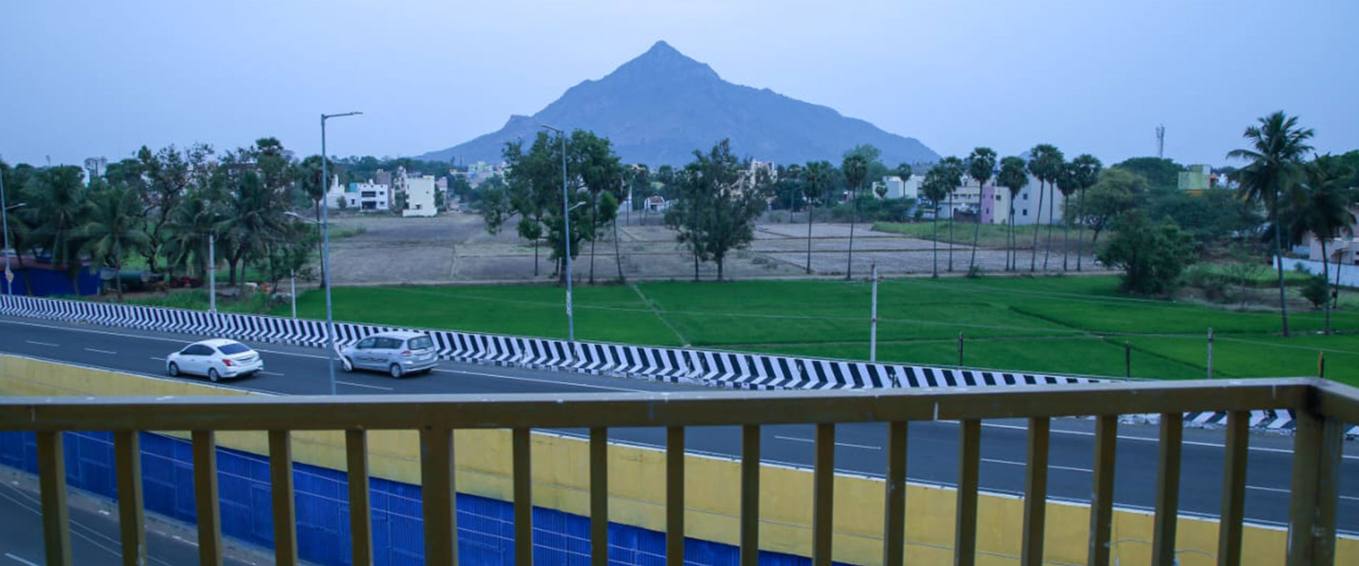Hotel leaf Sitting are
